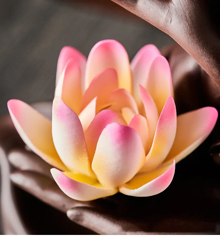 Close-up of a pink and yellow succulent plant with a blurred background