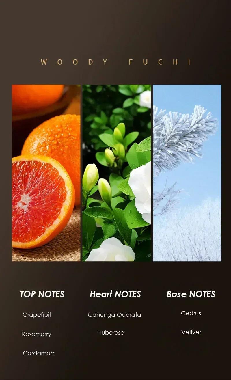 Top Notes、Heart Notes |Base Notes